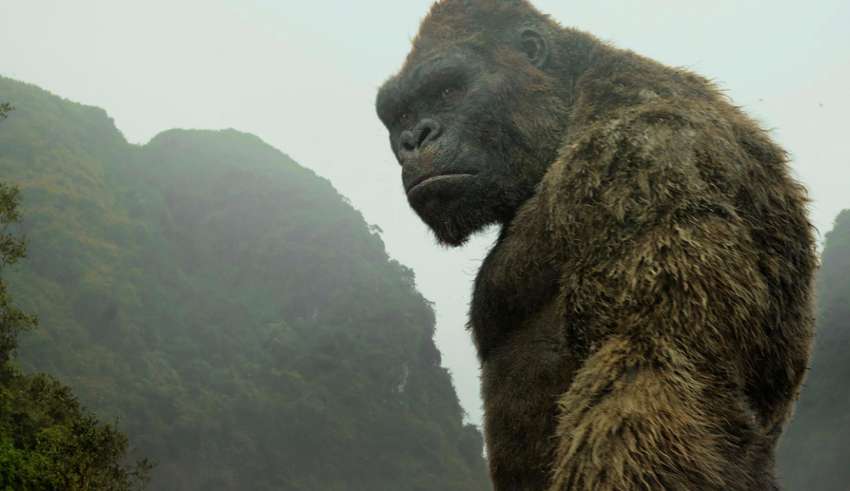 Image from Warner Bros. Pictures' KONG: SKULL ISLAND