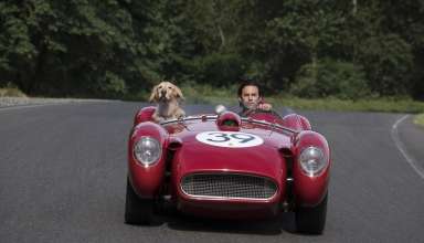 "Enzo" and Milo Ventimiglia star in 20th Century Fox's THE ART OF RACING IN THE RAIN